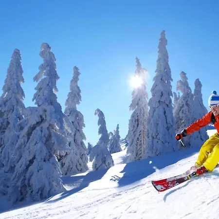 Otel Biohotel Mattlihues 4*